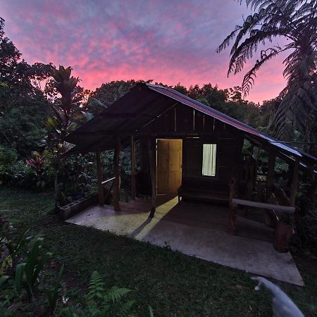 Cabana Maquique - San Vito Villa San Ramon  Eksteriør billede