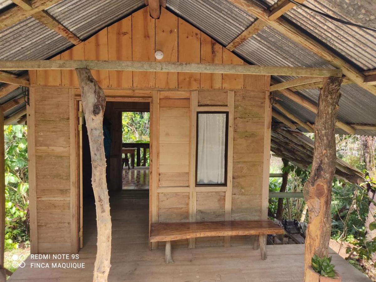 Cabana Maquique - San Vito Villa San Ramon  Eksteriør billede