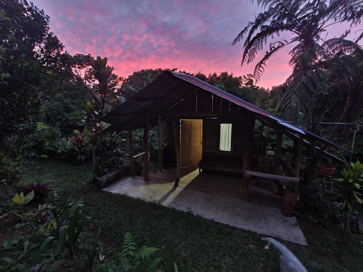 Cabana Maquique - San Vito Villa San Ramon  Eksteriør billede