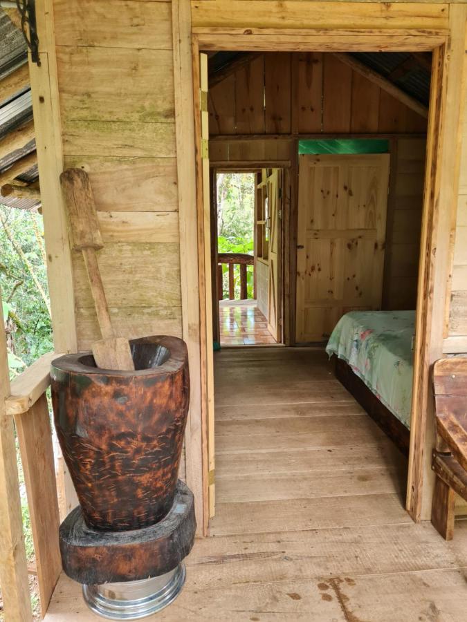 Cabana Maquique - San Vito Villa San Ramon  Eksteriør billede