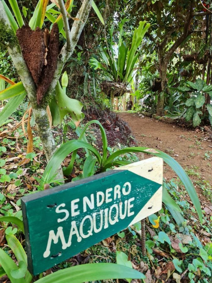 Cabana Maquique - San Vito Villa San Ramon  Eksteriør billede