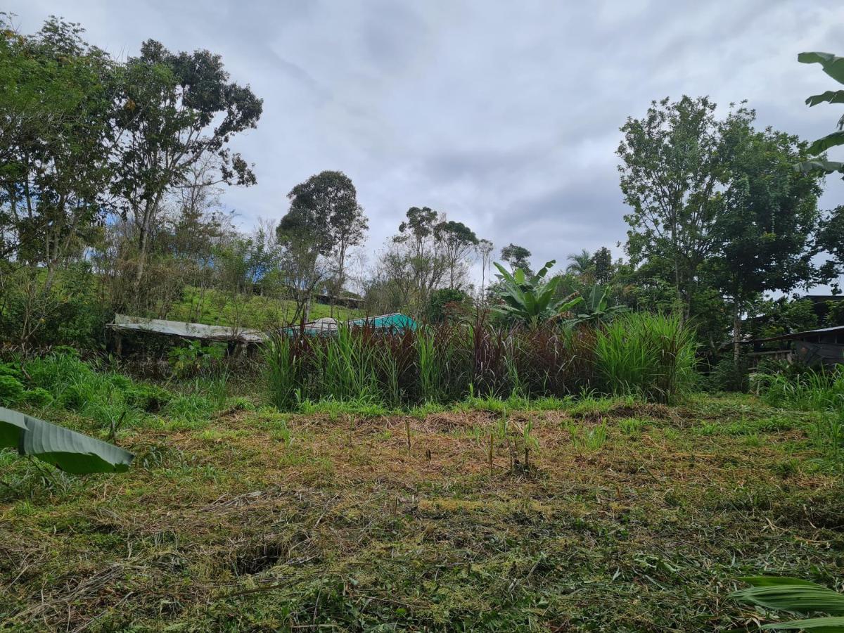 Cabana Maquique - San Vito Villa San Ramon  Eksteriør billede